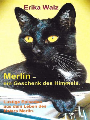 cover image of Merlin--ein Geschenk des Himmels.